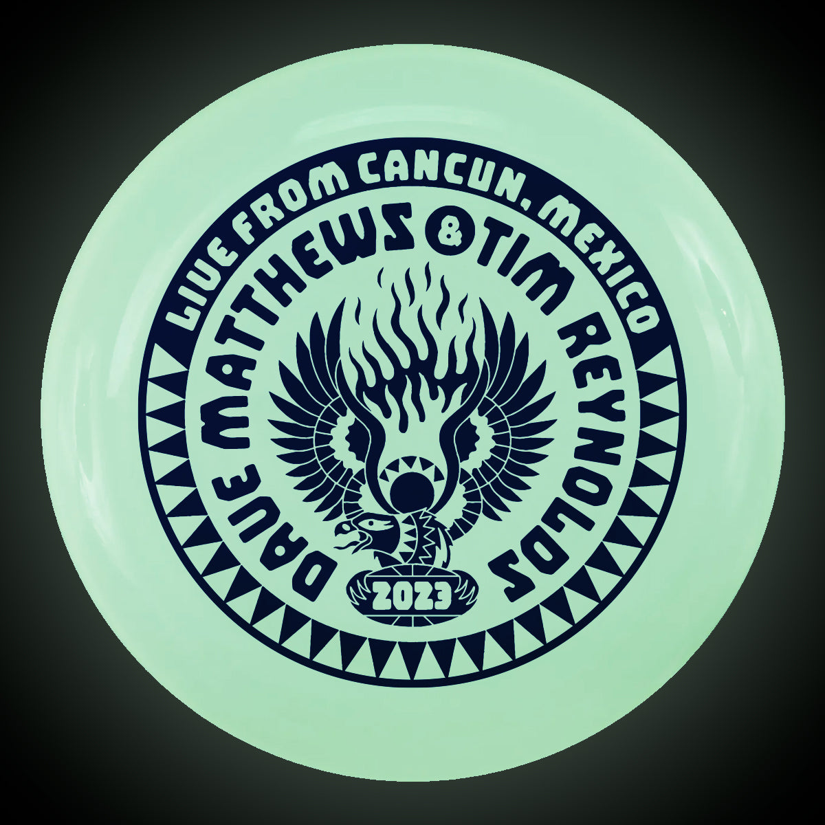 Dave and Tim Riviera Maya Blue Frisbee