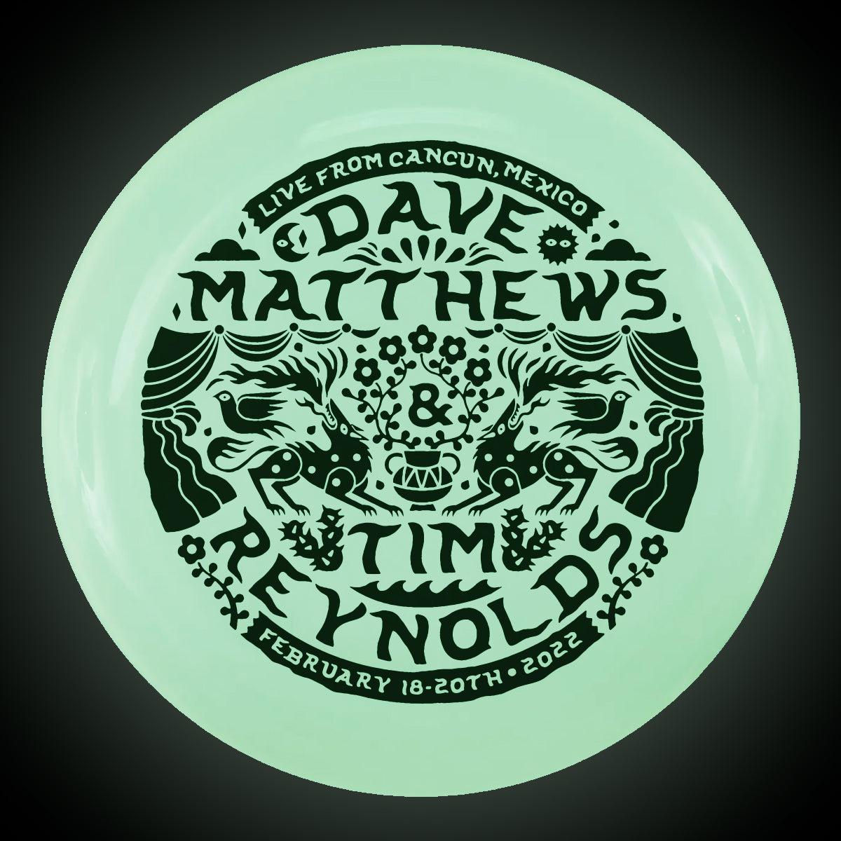 Dave and Tim Riviera Maya Green Frisbee