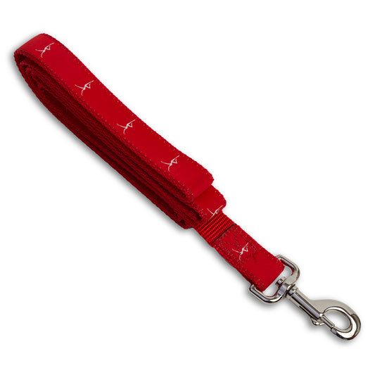 Firedancer Dog Leash