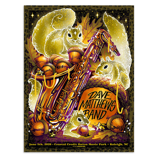 DMB Show Poster Raleigh, NC 06/05/2026