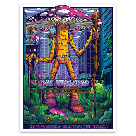 DMB Show Poster Chicago, IL 06.27.2025