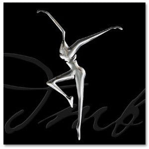 DMB Stand Up Dual Version CD