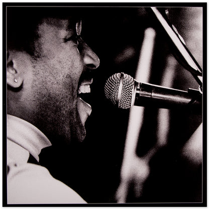 DMB Live Trax Vol. 05: 08/23/1995 - Meadow Brook Music Festival - 4 LP Set