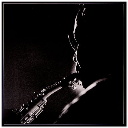 DMB Live Trax Vol. 05: 08/23/1995 - Meadow Brook Music Festival - 4 LP Set