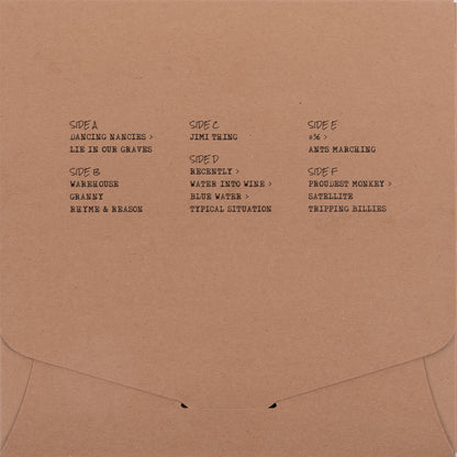 DMBLive - Kirby Fieldhouse - Easton, PA - 02/25/1995 - Vinyl