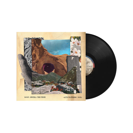 Walk Around The Moon Black Vinyl